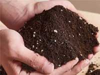 臭氧在农业种植（土壤基质、营养液、种子、棚内秧苗）中的应用