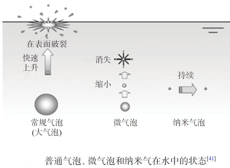 臭氧水去除农残残留效果有哪些影响因素